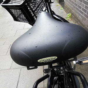 Batavus Personal Bike Black