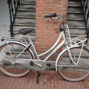 Cortina Cycles u4 Silver, gray or bare metal