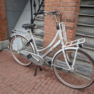 Cortina Cycles u4 Silver, gray or bare metal