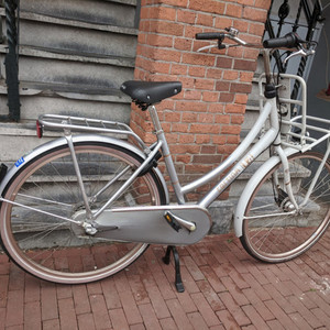 Cortina Cycles u4 Silver, gray or bare metal