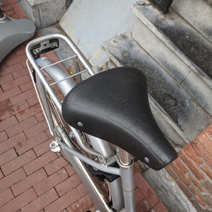 Cortina Cycles u4 Silver, gray or bare metal