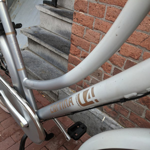 Cortina Cycles u4 Silver, gray or bare metal