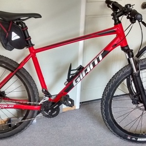 2020 Giant Talon 2 Red