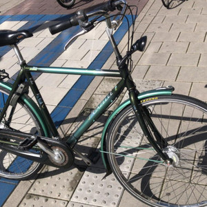 Gazelle Trendy Green