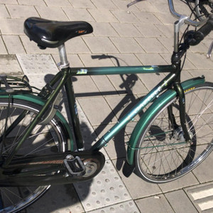 Gazelle Trendy Green