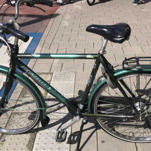 Gazelle Trendy Green