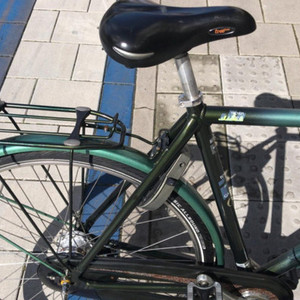 Gazelle Trendy Green