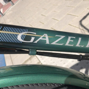 Gazelle Trendy Green