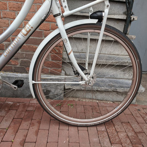 Cortina Cycles u4 Silver, gray or bare metal