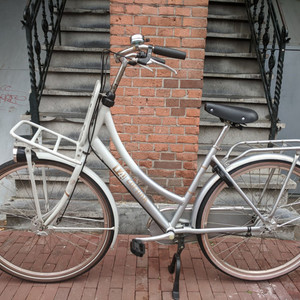 Cortina Cycles u4 Silver, gray or bare metal