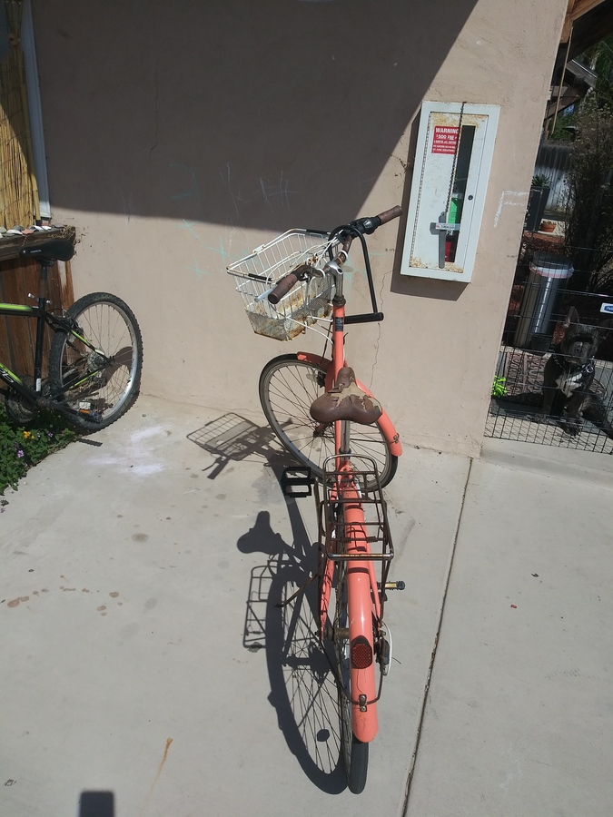 Critical Cycles Female Beach cruiser