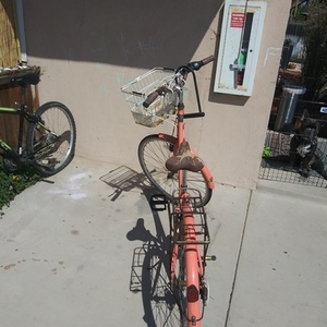 Critical Cycles Female Beach cruiser Pink