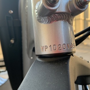 2020 Rad Power Bikes Radrunner plus Silver, gray or bare metal