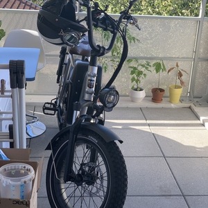 2020 Rad Power Bikes Radrunner plus Silver, gray or bare metal