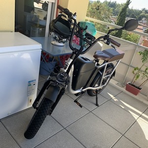 2020 Rad Power Bikes Radrunner plus Silver, gray or bare metal