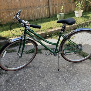 2020 Schwinn Collegiiate Green