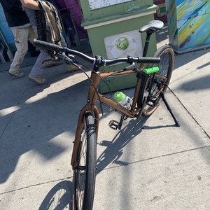 2020 Kona Dew Plus Brown