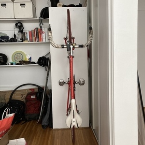 1987 Bianchi Sport SX Red