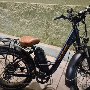 2020 Rad Power Bikes RadRover Step Thru Black