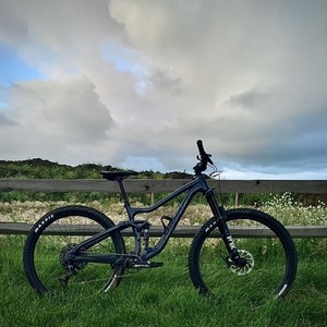 2020 Devinci Django Silver, gray or bare metal