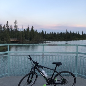 2017 Trek Dual Sport 2 Black