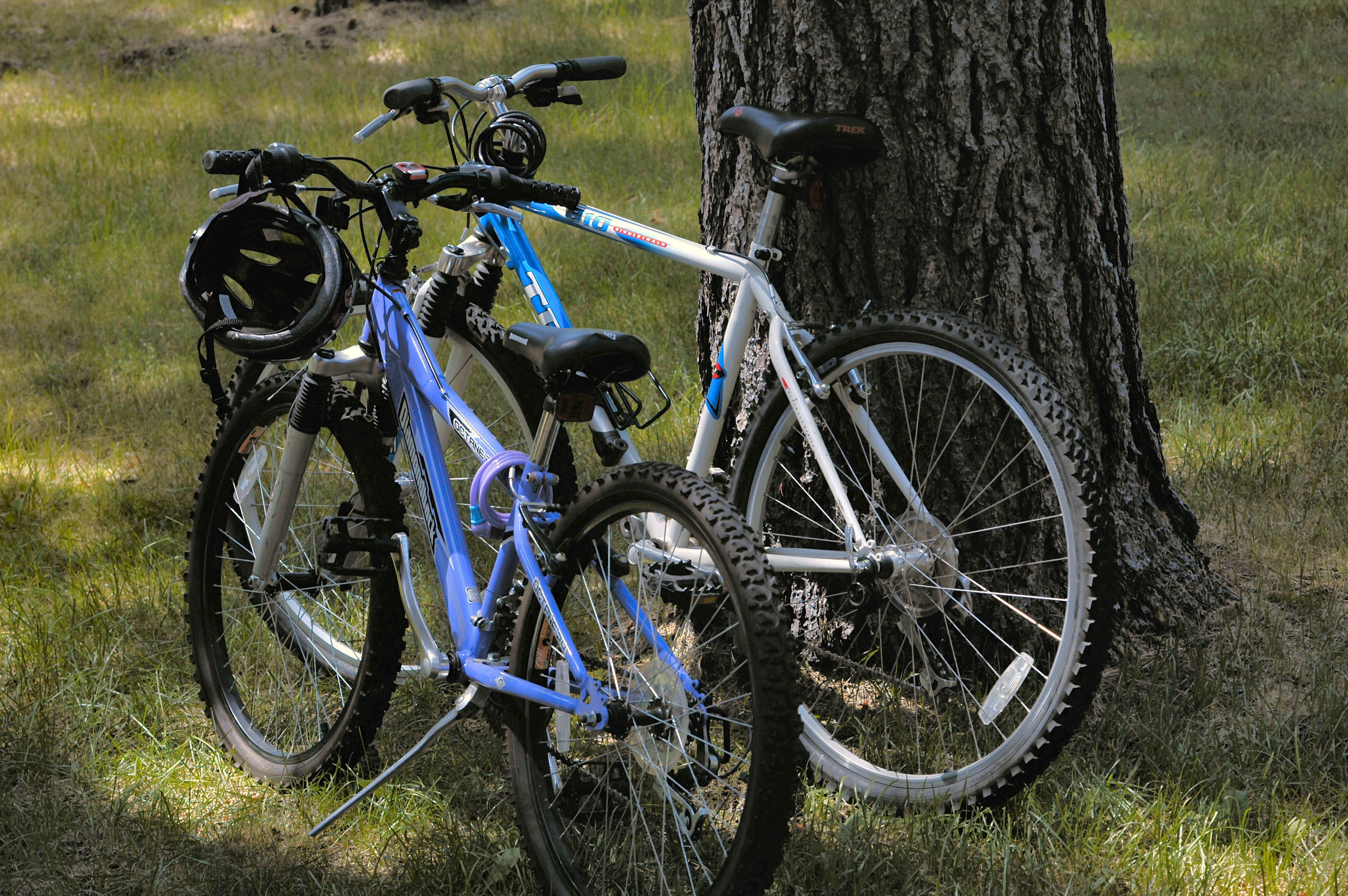 diamondback octane 24