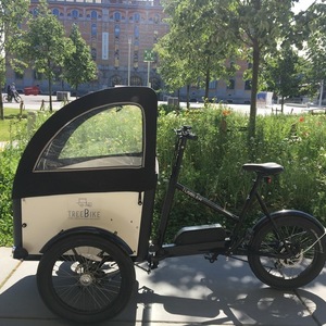 2019 Transition Bikes Familybike Black and White