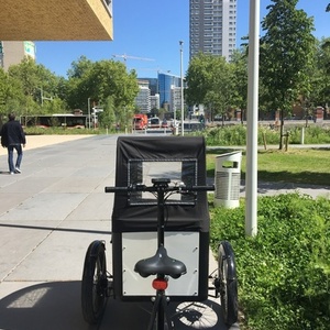 2019 Transition Bikes Familybike Black and White