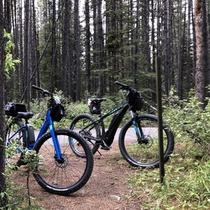 2020 Cube Access Race 27 Black