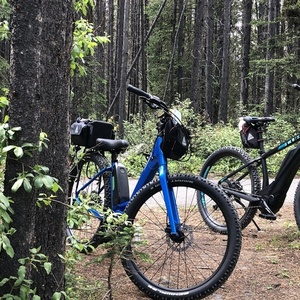2020 Cube Access Race 27 Black