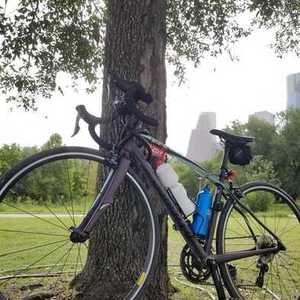 2017 Specialized Dolce Purple and Green