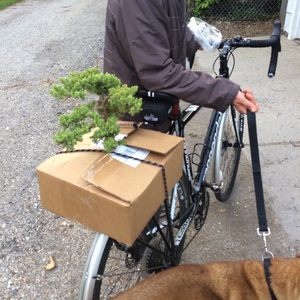 2014 Cannondale Caadx Disc 5 105 Black