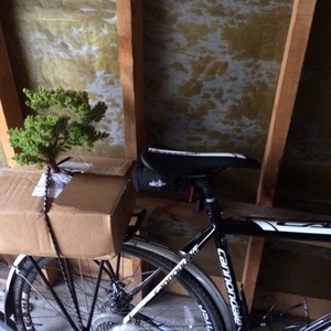 2014 Cannondale Caadx Disc 5 105 Black