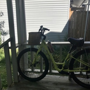 2016 Specialized Roll Elite Green and Yellow or Gold