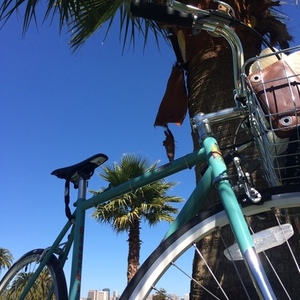 2015 Bianchi Pista Teal