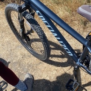 2020 Specialized Rockhopper 27.5 Silver, gray or bare metal and Blue