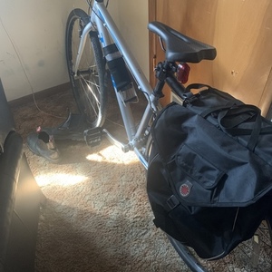 2020 Trek FX1 Silver, gray or bare metal