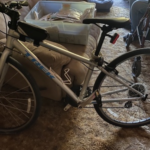 2020 Trek FX1 Silver, gray or bare metal