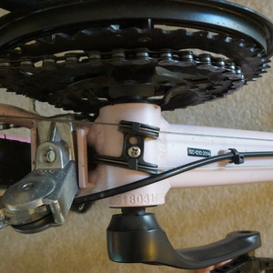 2019 Marin Bikes TERRA LINDA 1 Pink