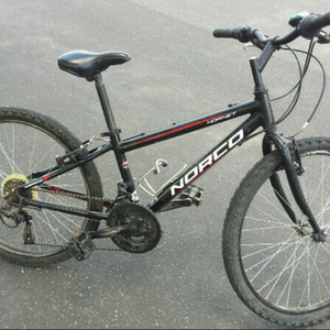 2020 Norco Bikes HORNET Black