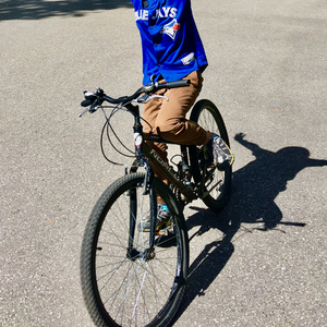 Norco Bikes HORNET Black