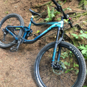 2020 Giant Liv Intrigue Blue