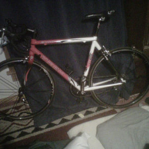 Trek 2100 Red