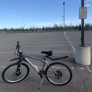 Norco Bikes Nitro Silver, gray or bare metal