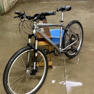 Norco Bikes Nitro Silver, gray or bare metal