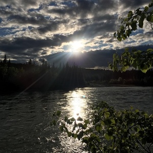 2018 Kona Lanai Black