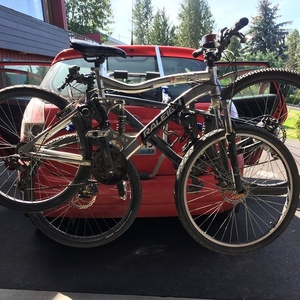 Raleigh Womens Silver, gray or bare metal