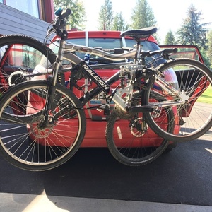 Raleigh Womens Silver, gray or bare metal