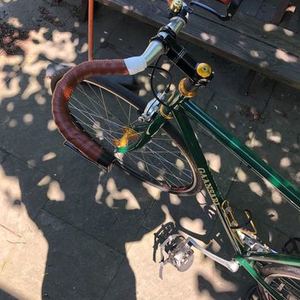 Gaansari Scorcher Green