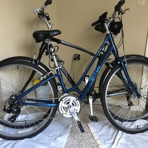 2016 Giant Blue